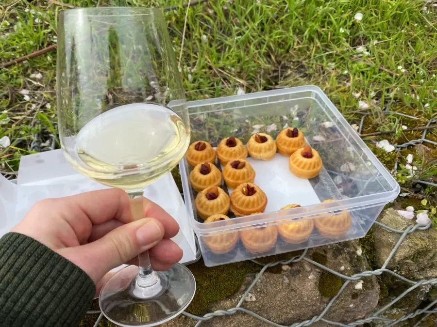 Meerspinne & Gugelhupf — Pfälzer Kulinarik